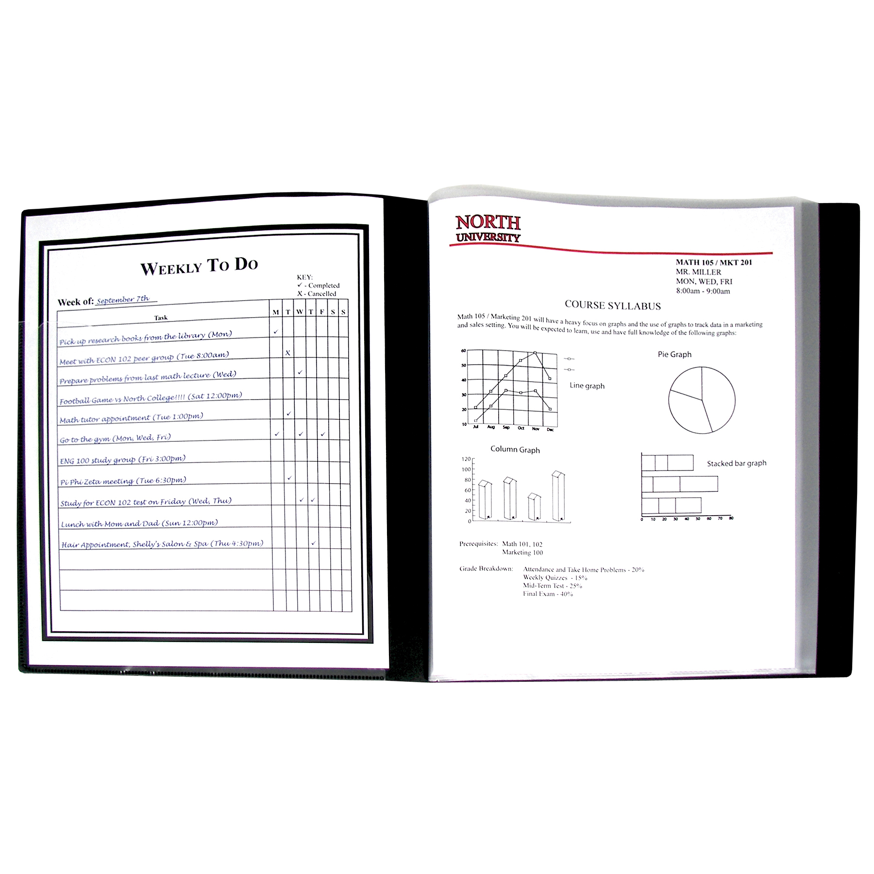 The Teachers' Lounge®  Bound Sheet Protector Presentation Book, 12-Pocket